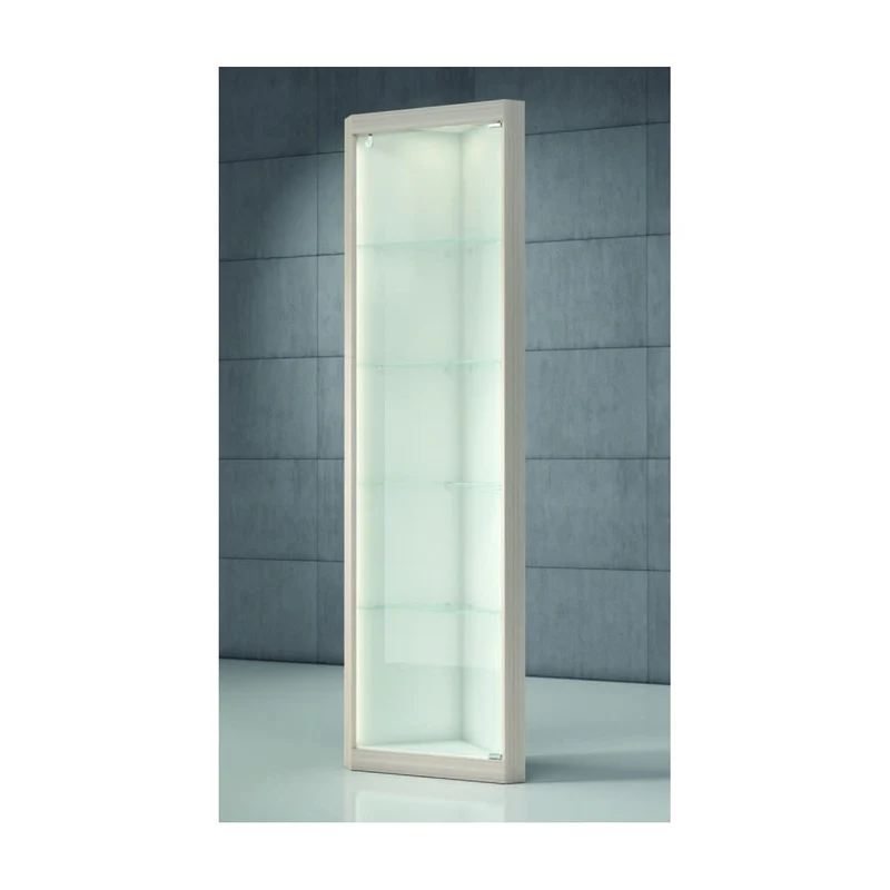 Casa Padrino Luxus Ladenvitrine 42 x 42 cm H. 210 cm mit LED - Ladeneinrichtung - Boutique Möbel - Made in Italy