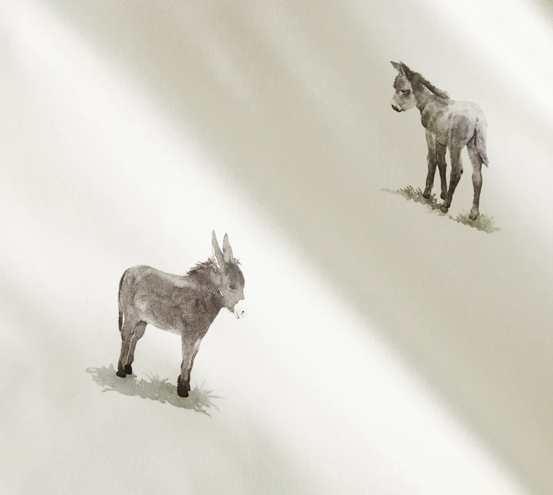 Donkey