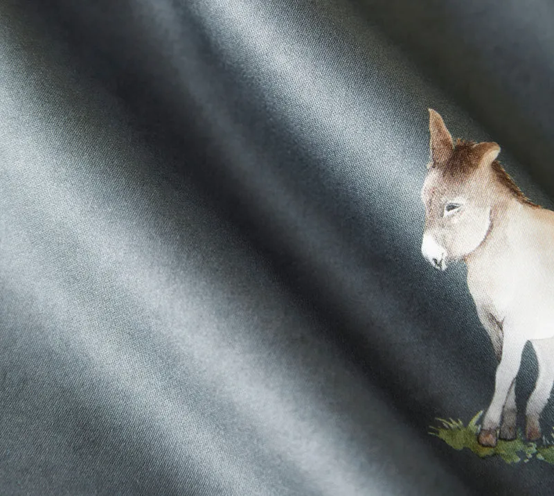 Donkey