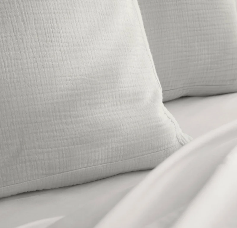 Dream Decorative Pillow Cover (22x22) - Mist