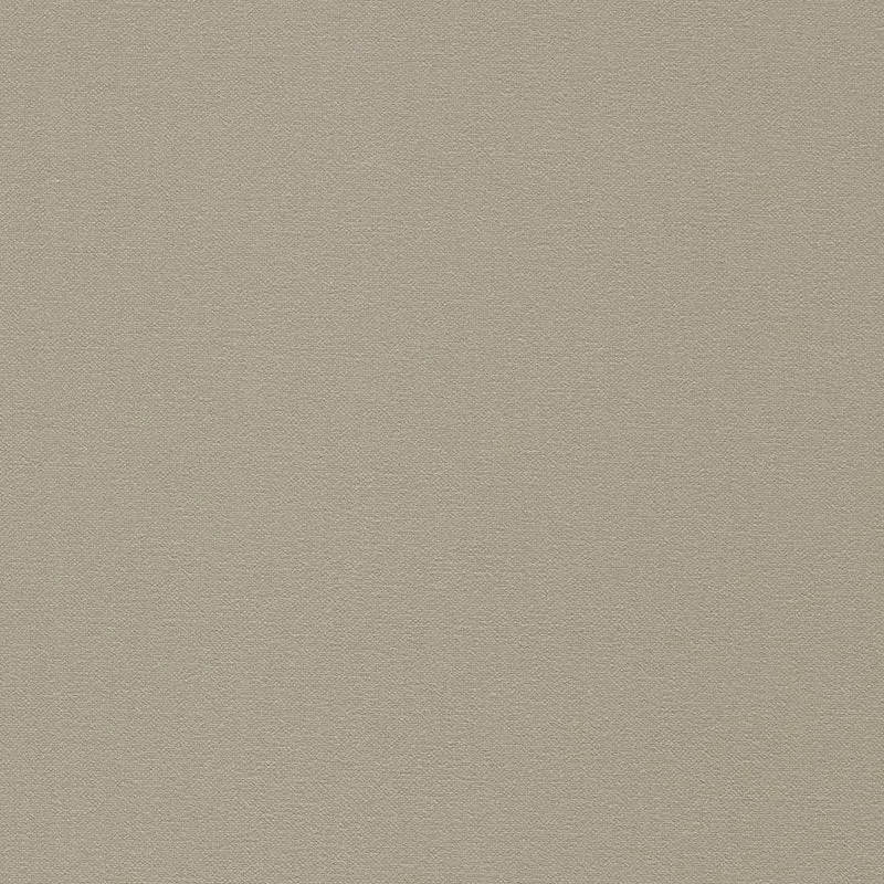 Cotton Plain - fog