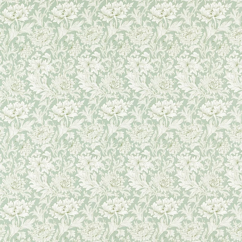 Chrysanthemen Toile - weide