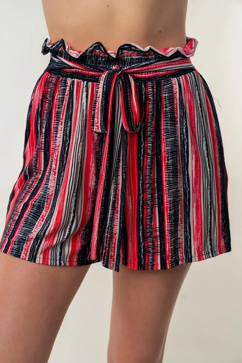 Witte Birch Full Size Gestreepte Shorts met Hoge Taille