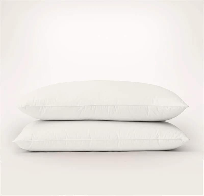 2 Pillow Bundle - Test