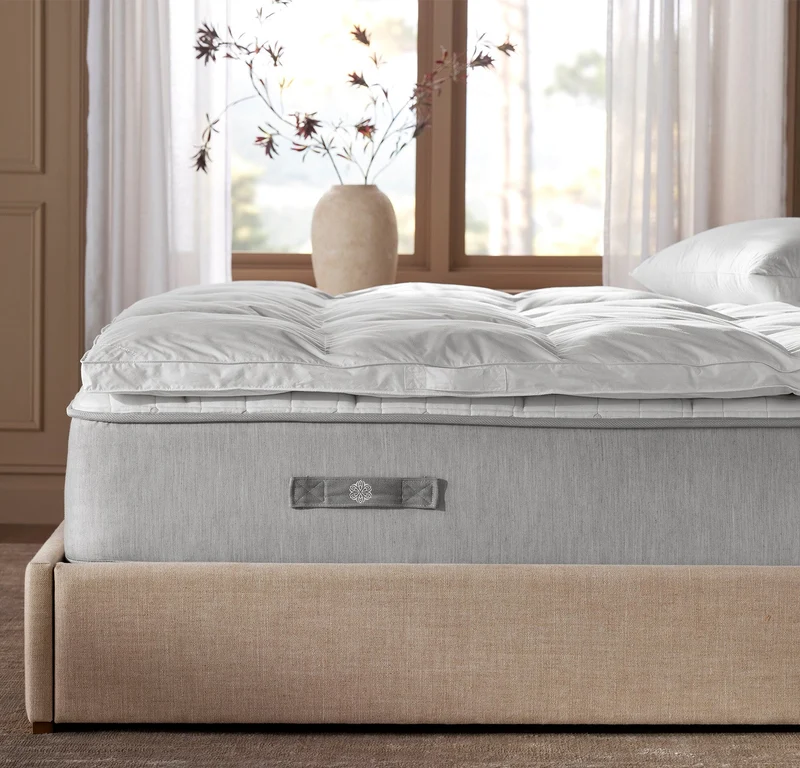 Cloud Cover Fiberbed