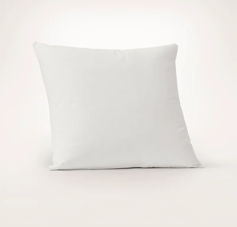 Feather Down Decorative Pillow Insert (22x22)