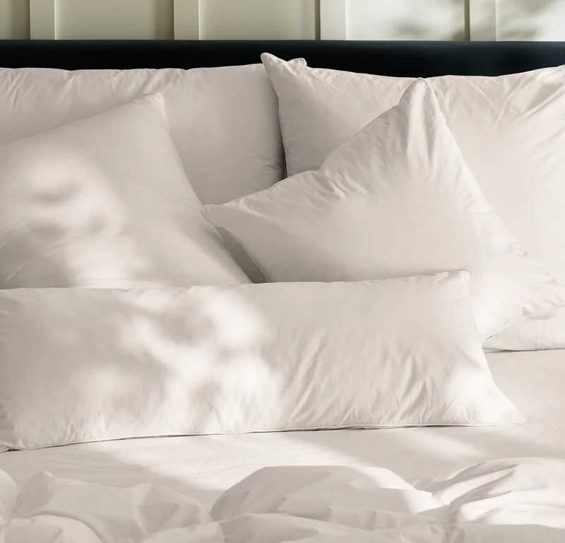 Feather Down Decorative Pillow Insert (22x22)