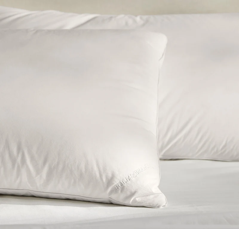 Feather Down Decorative Pillow Insert (22x22)
