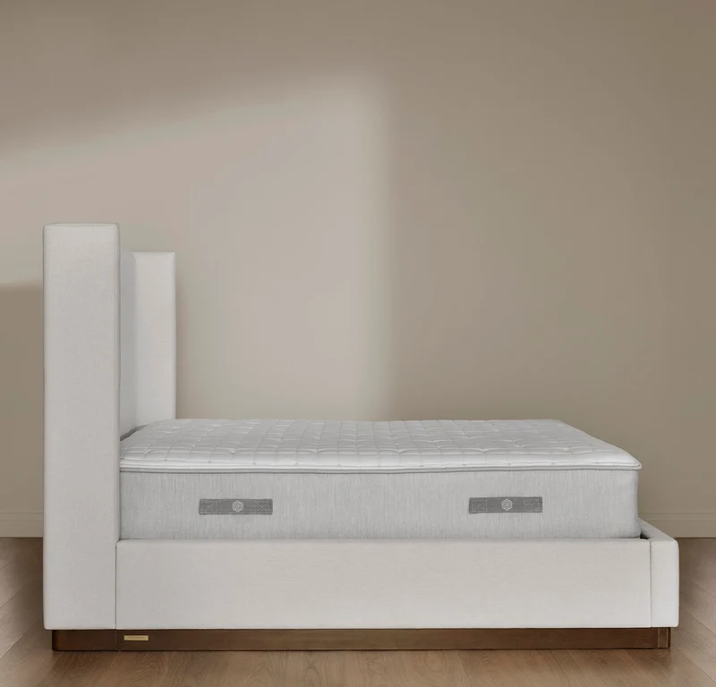 Mattress & 2-Pillow Bundle