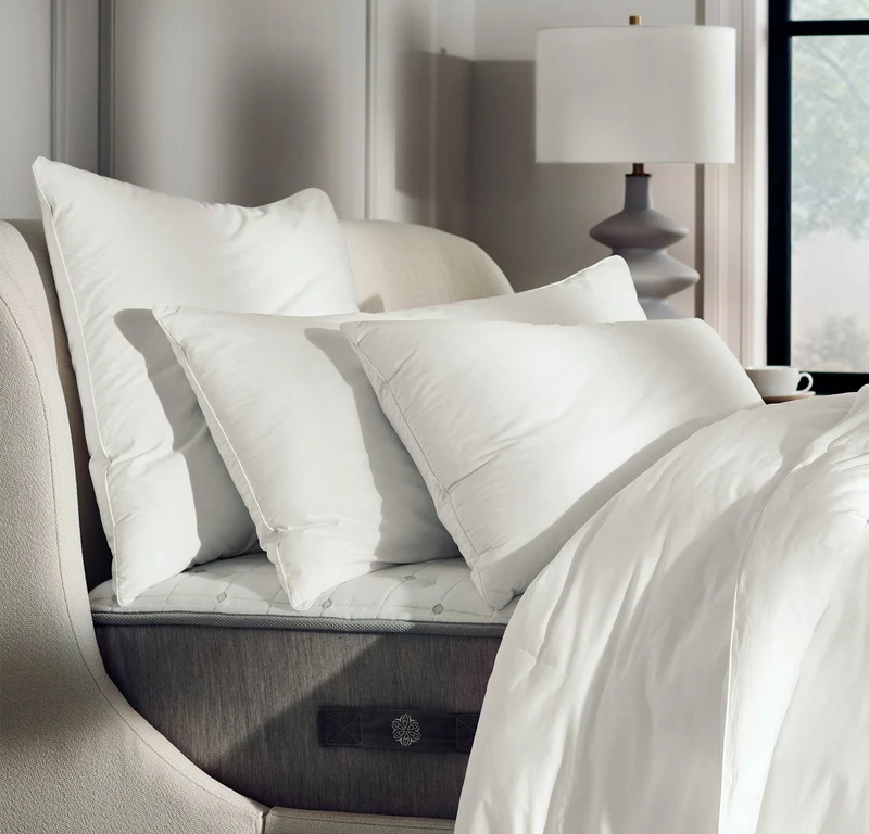 Mattress & 2-Pillow Bundle