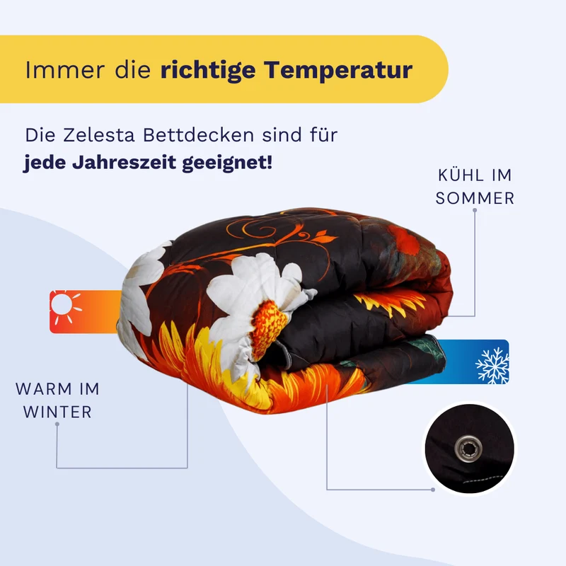 Zelesta Wonderbed 4-Jahreszeiten double - Summer Flowers