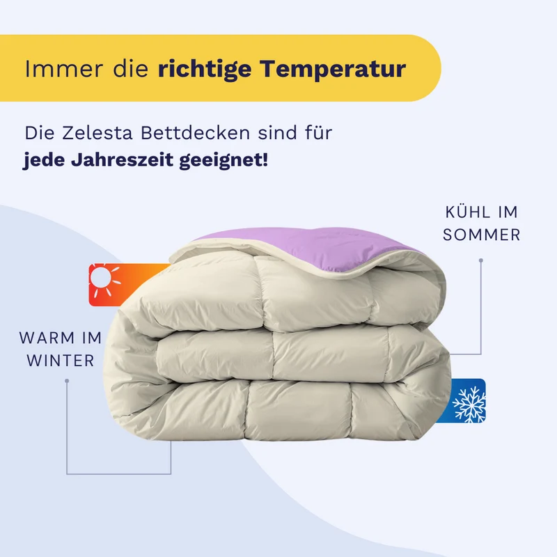 Zelesta Royalbed - Lila & Sand Beach