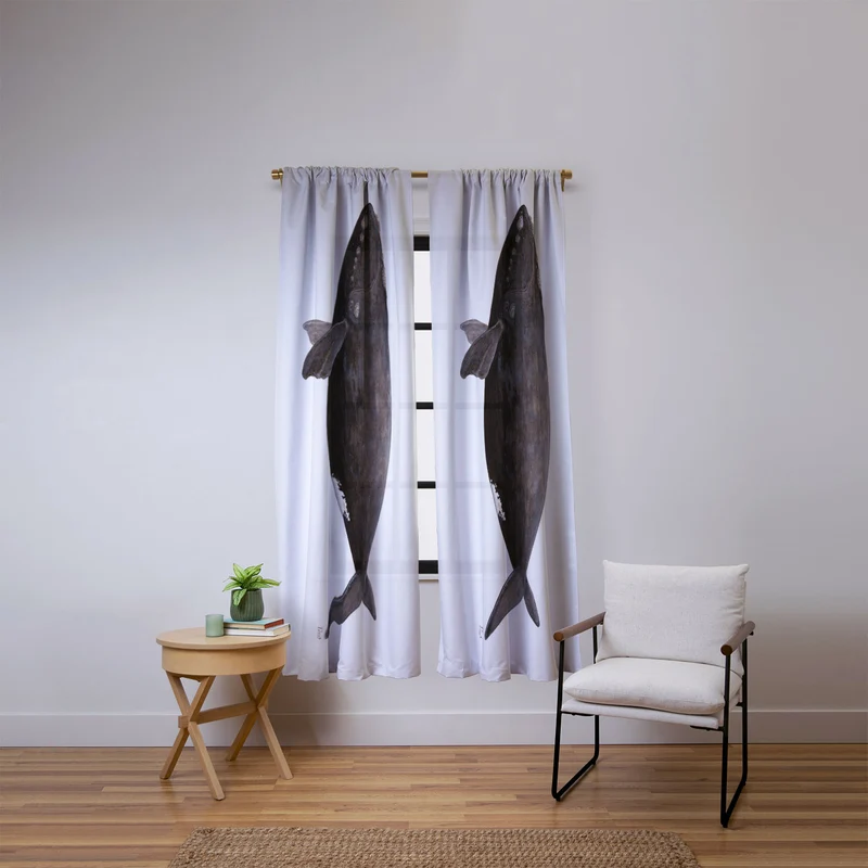 Northern right whale Window Curtain