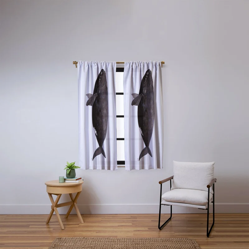 Northern right whale Window Curtain
