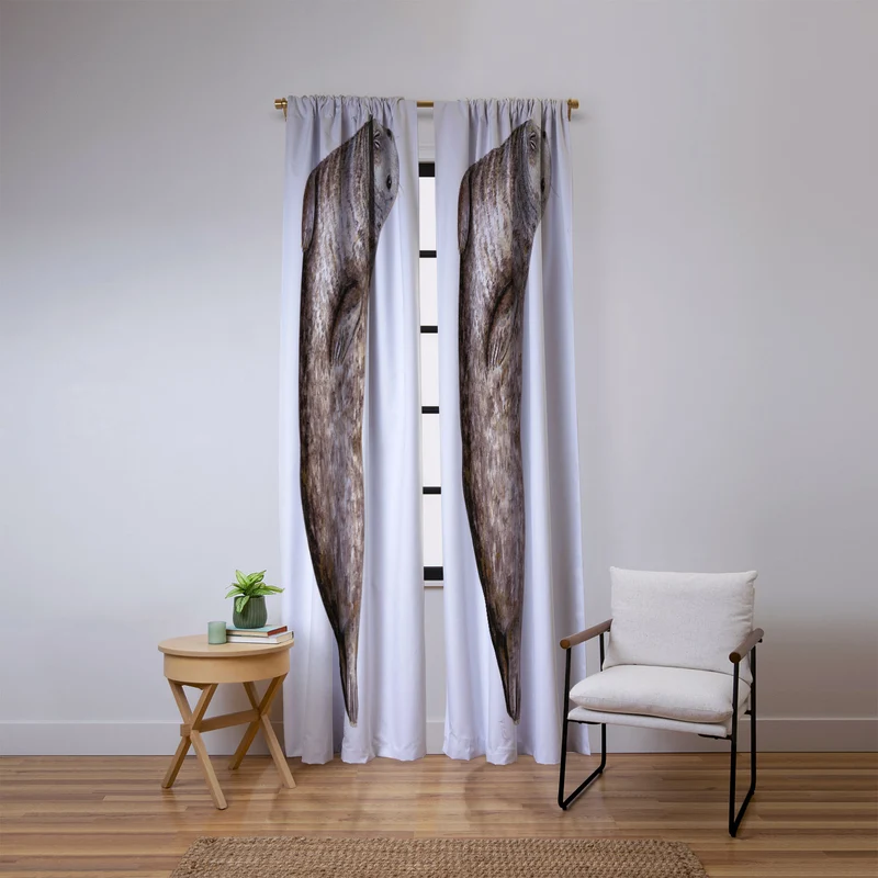Grey seal Window Curtain