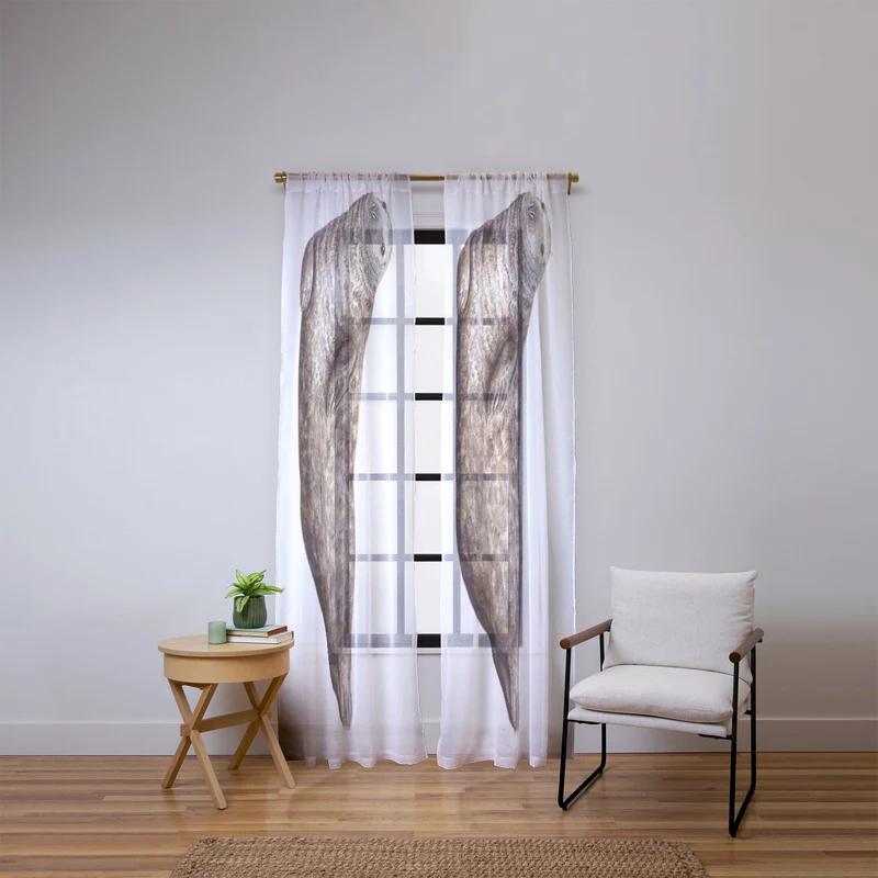 Grey seal Window Curtain