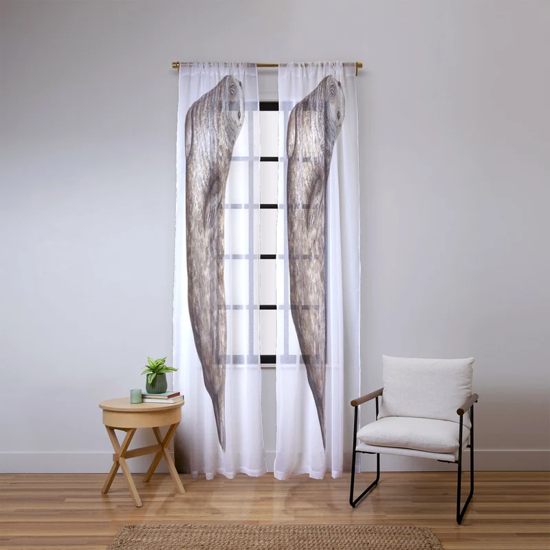 Grey seal Window Curtain