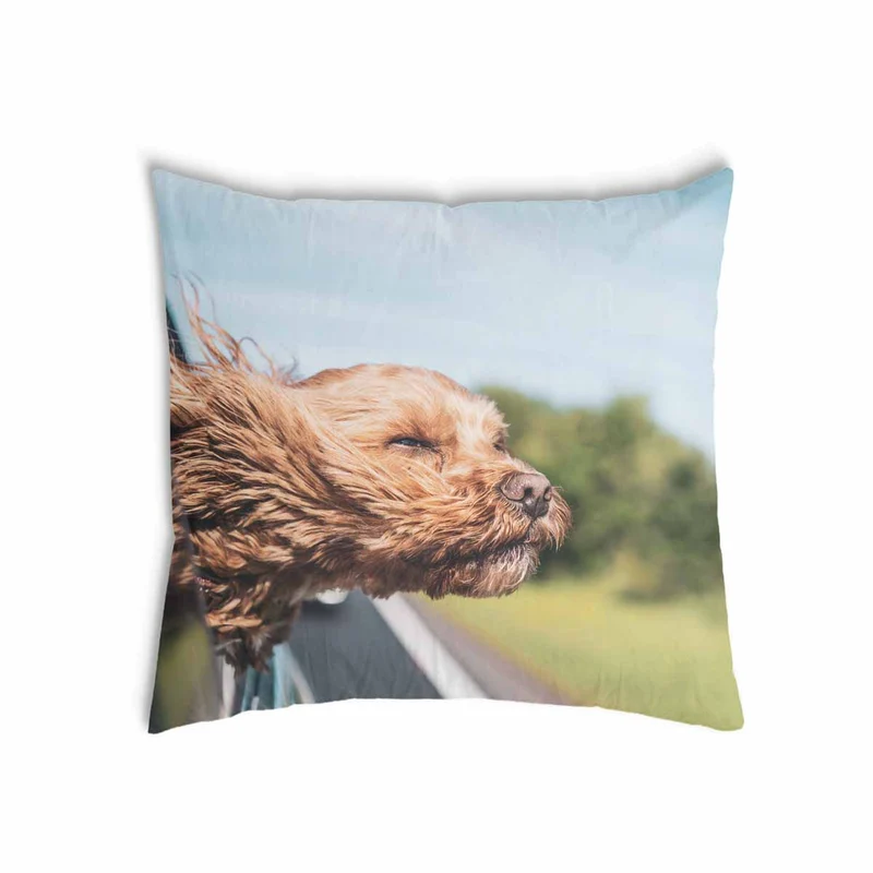 Gesundheitskissen mit Hund im Auto
