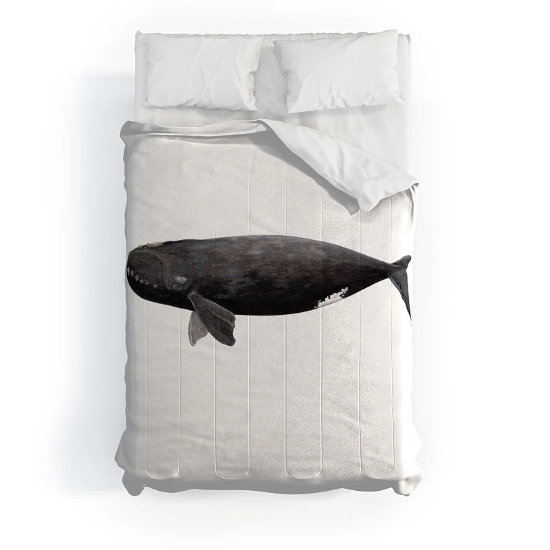 Northern right whale Comforter