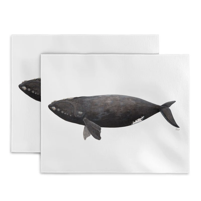 Northern right whale Placemat