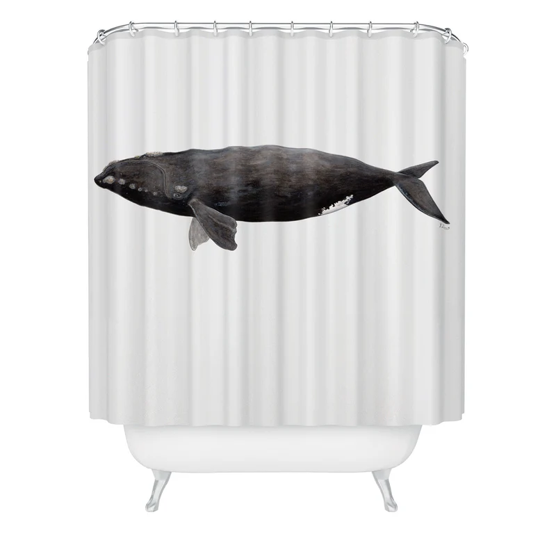 Northern right whale Shower Curtain