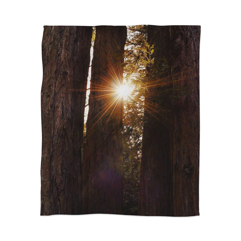 Redwood Forest Sunshine Throw Blanket