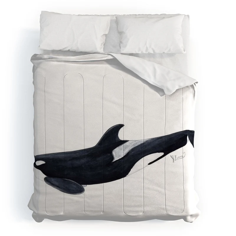 Orca killer whale Orcinus orca Comforter
