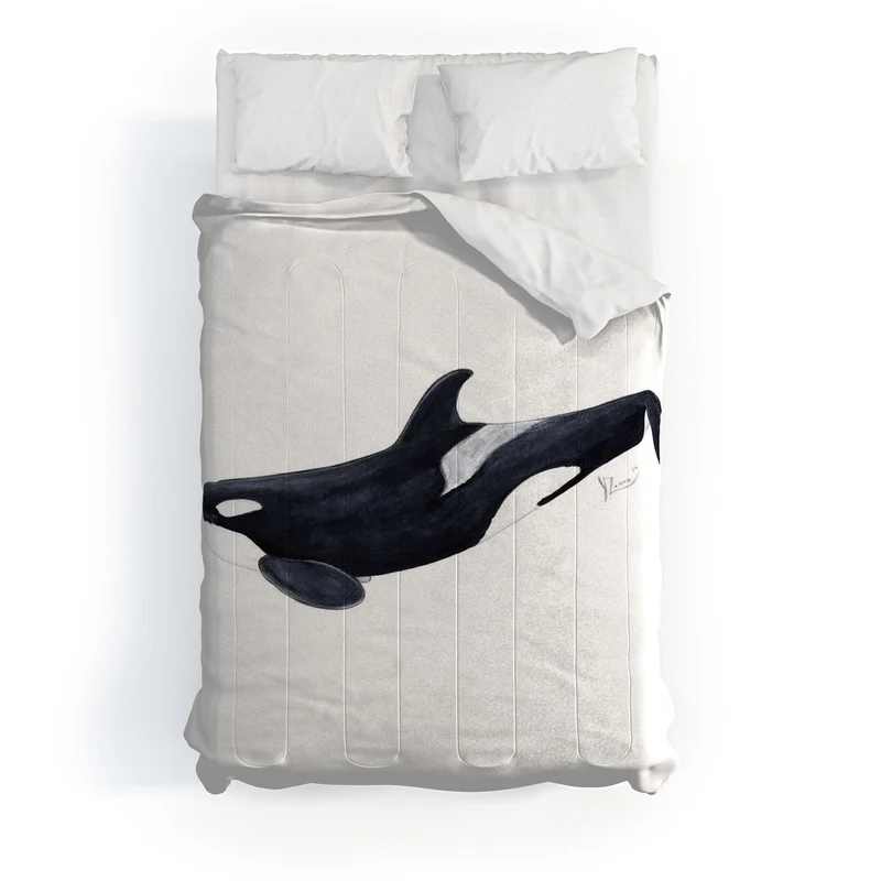 Orca killer whale Orcinus orca Comforter