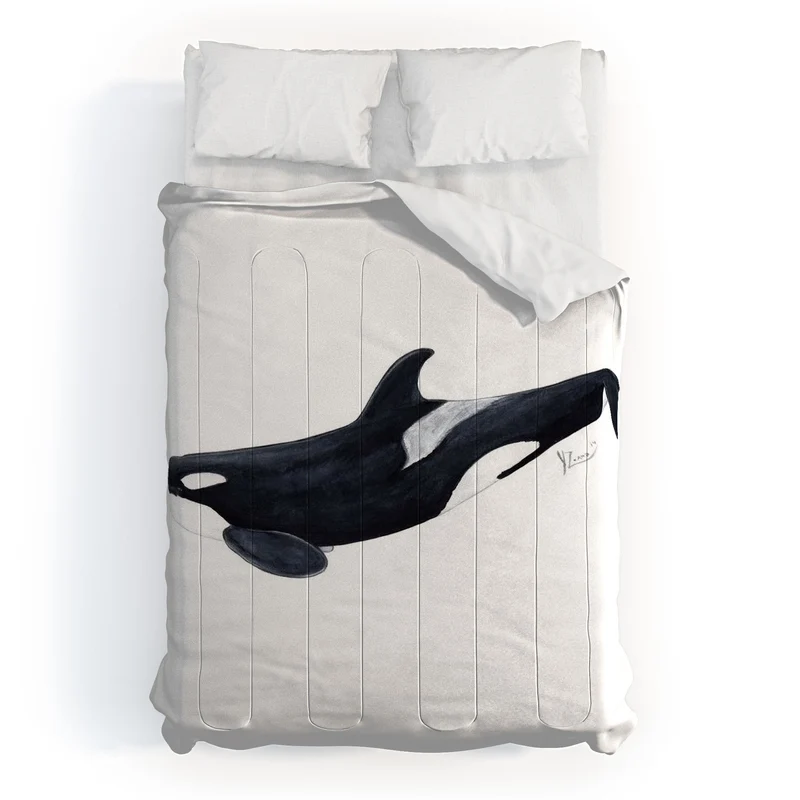 Orca killer whale Orcinus orca Comforter