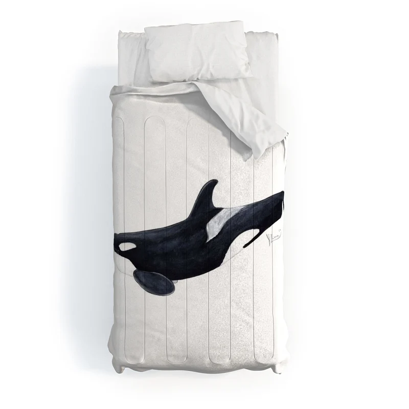 Orca killer whale Orcinus orca Comforter