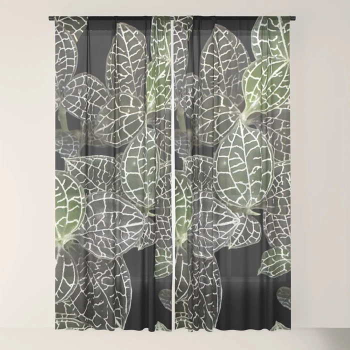 Elegant leaf skeleton foliage on black Window Curtain