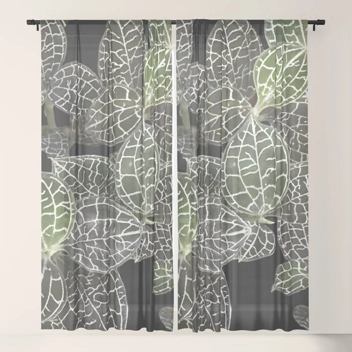 Elegant leaf skeleton foliage on black Window Curtain