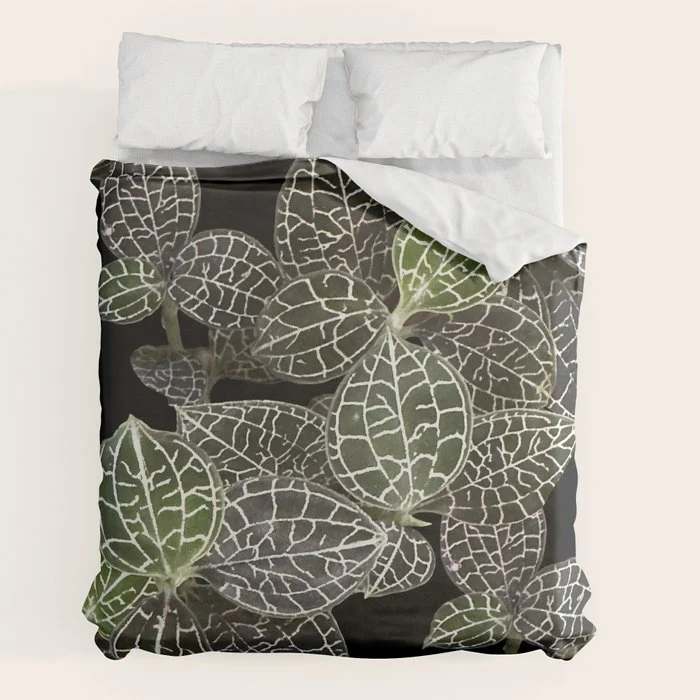 Elegant leaf skeleton foliage on black Duvet Cover