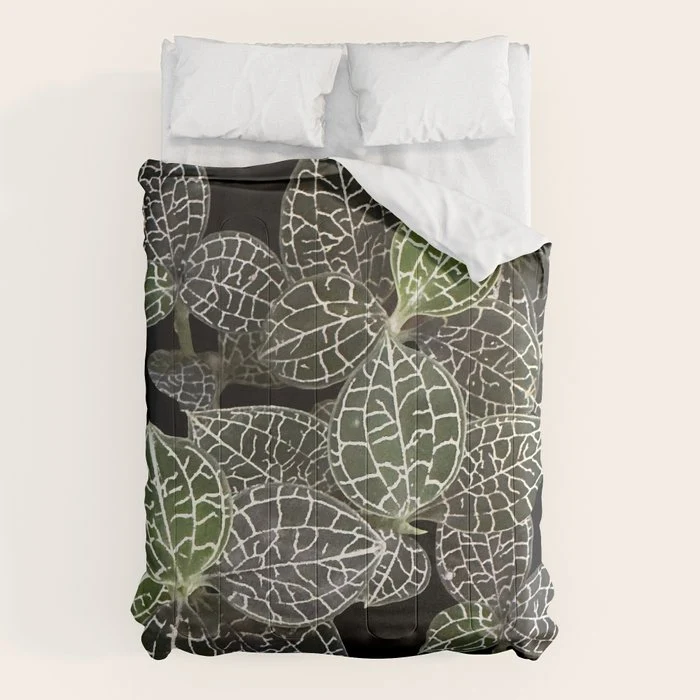 Elegant leaf skeleton foliage on black Comforter