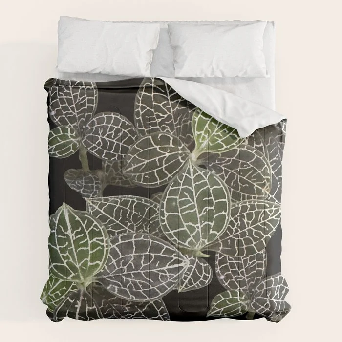Elegant leaf skeleton foliage on black Comforter